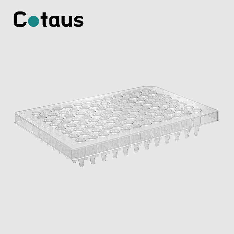 96 Well 0.2ml شفافة نصف تنورة لوحة PCR